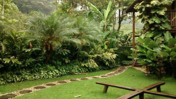 Quintal da Mata Hotel Camburi  Esterno foto
